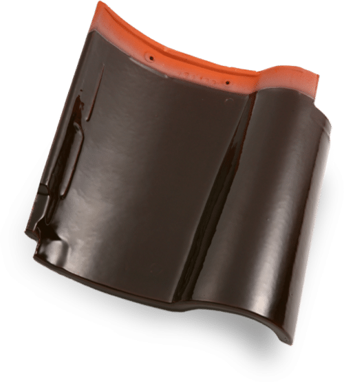 kanmuri espanica brown