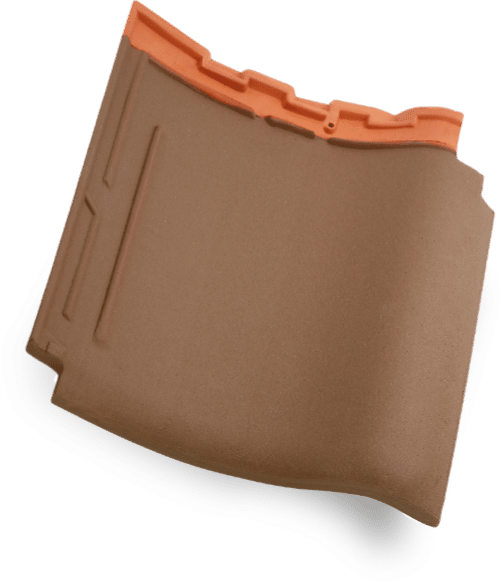 kanmuri milenio medi brown