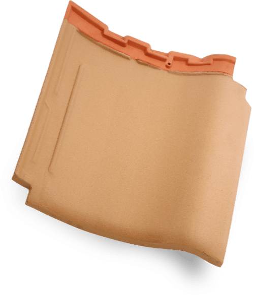 kanmuri milenio medi magnolia